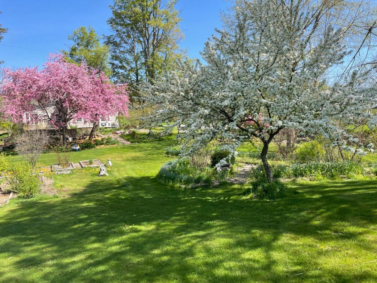 Wildflower Cottage Oxford Ngoại thất bức ảnh