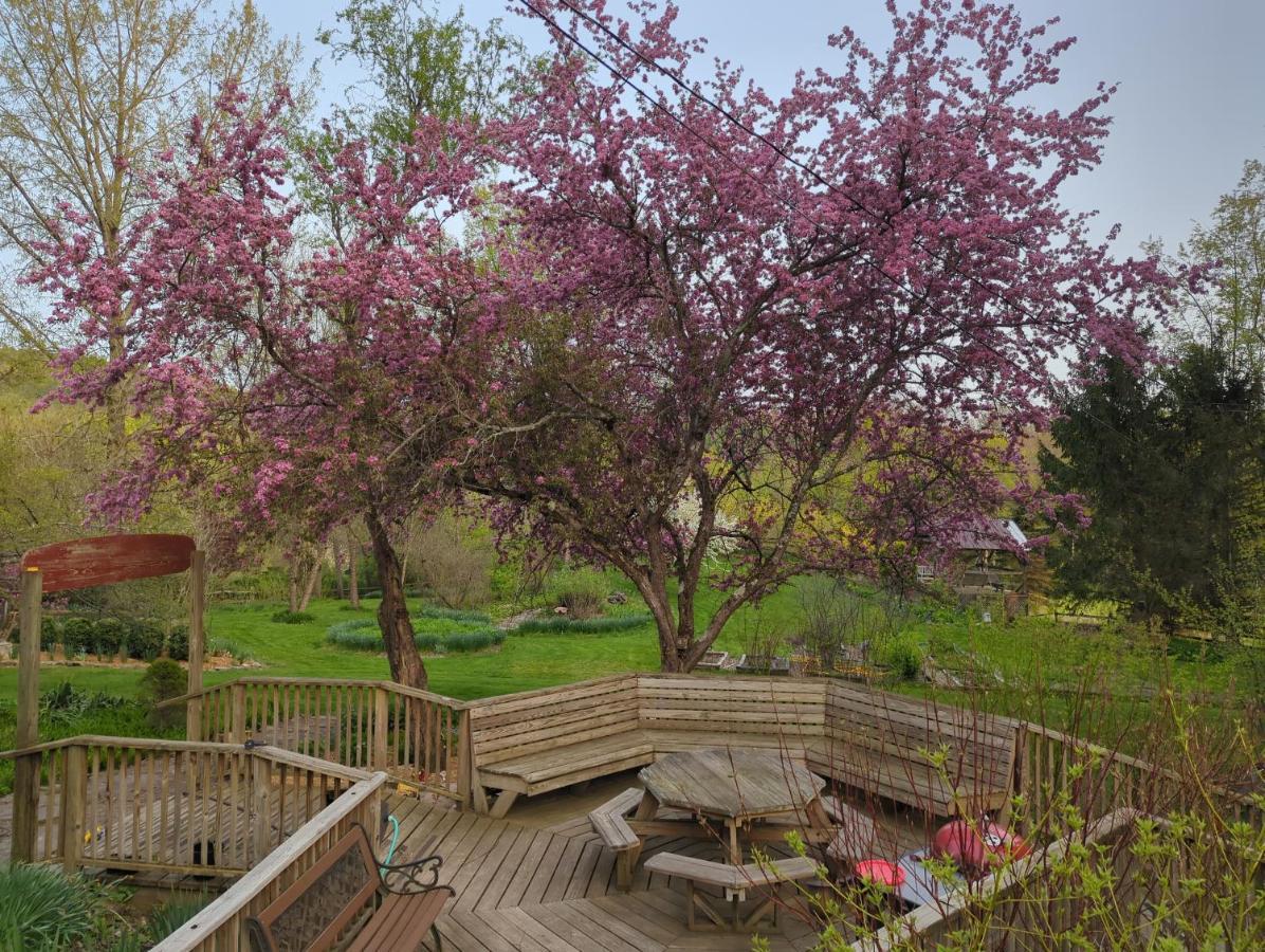Wildflower Cottage Oxford Ngoại thất bức ảnh
