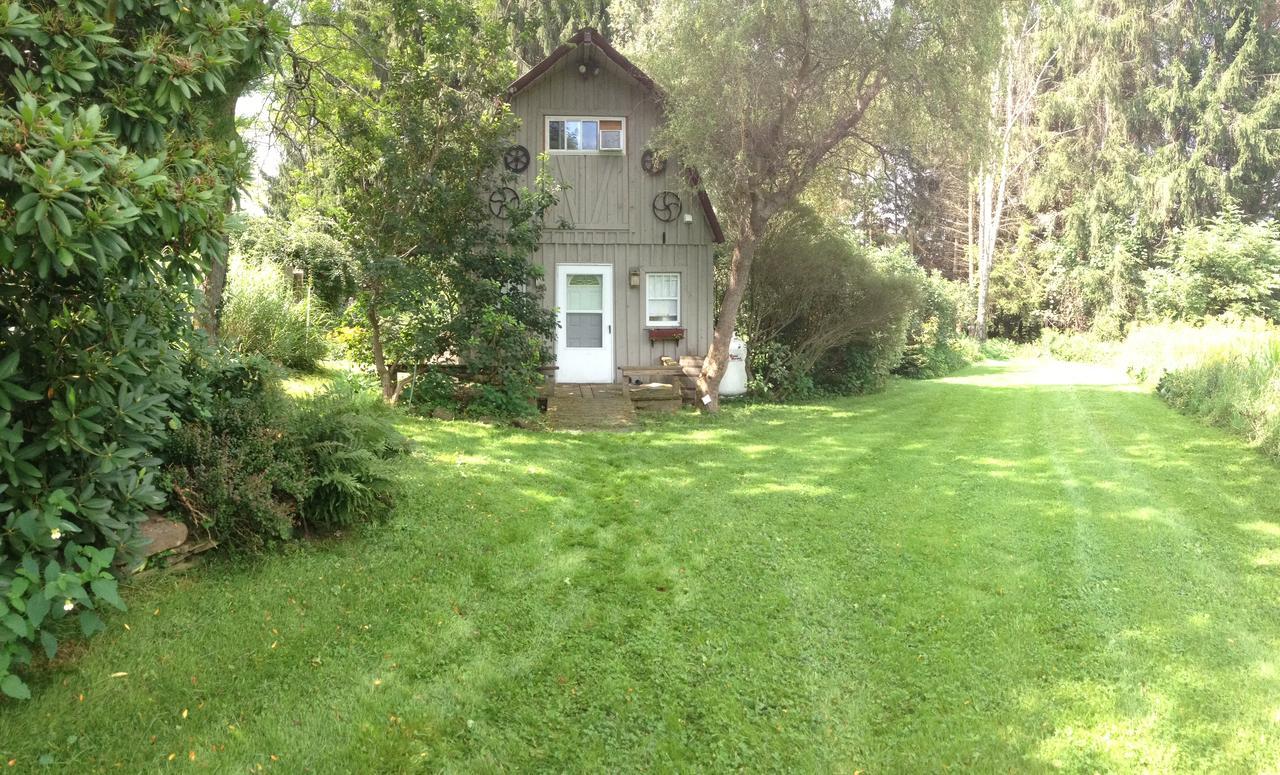 Wildflower Cottage Oxford Ngoại thất bức ảnh